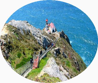 Point Reyes National Seashore Tour Outdoor Adventures Sf